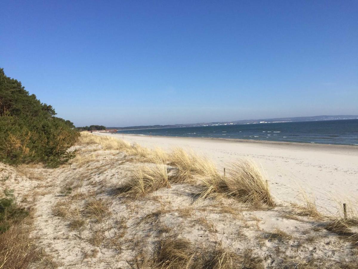 Strandresidenz Heringsmöwe V07 * Ostseebad Binz