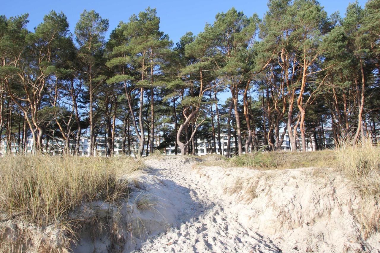 Strandresidenz Heringsmöwe V07 Apartment Ostseebad Binz