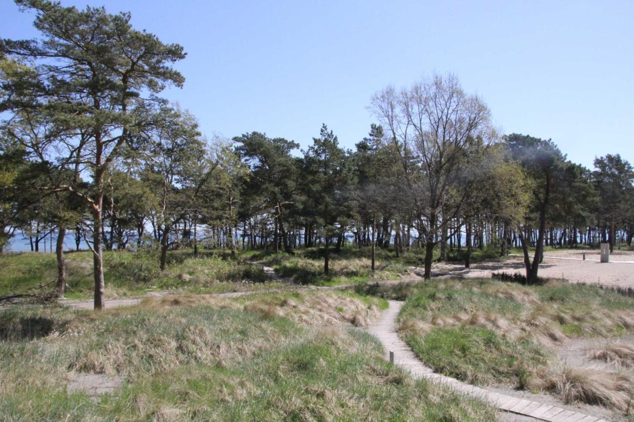 Strandresidenz Heringsmöwe V07